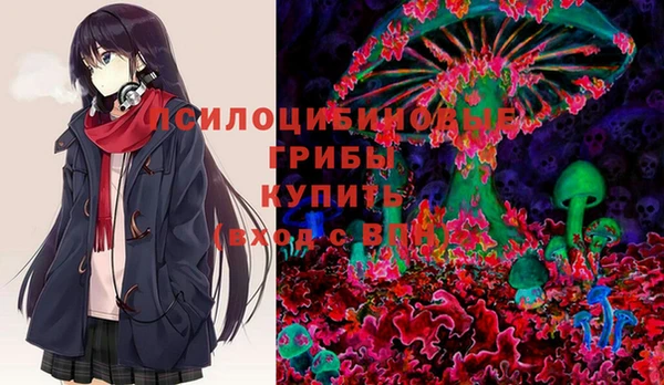 spice Арсеньев