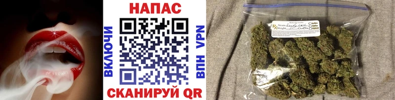 Бошки марихуана индика  Салехард 
